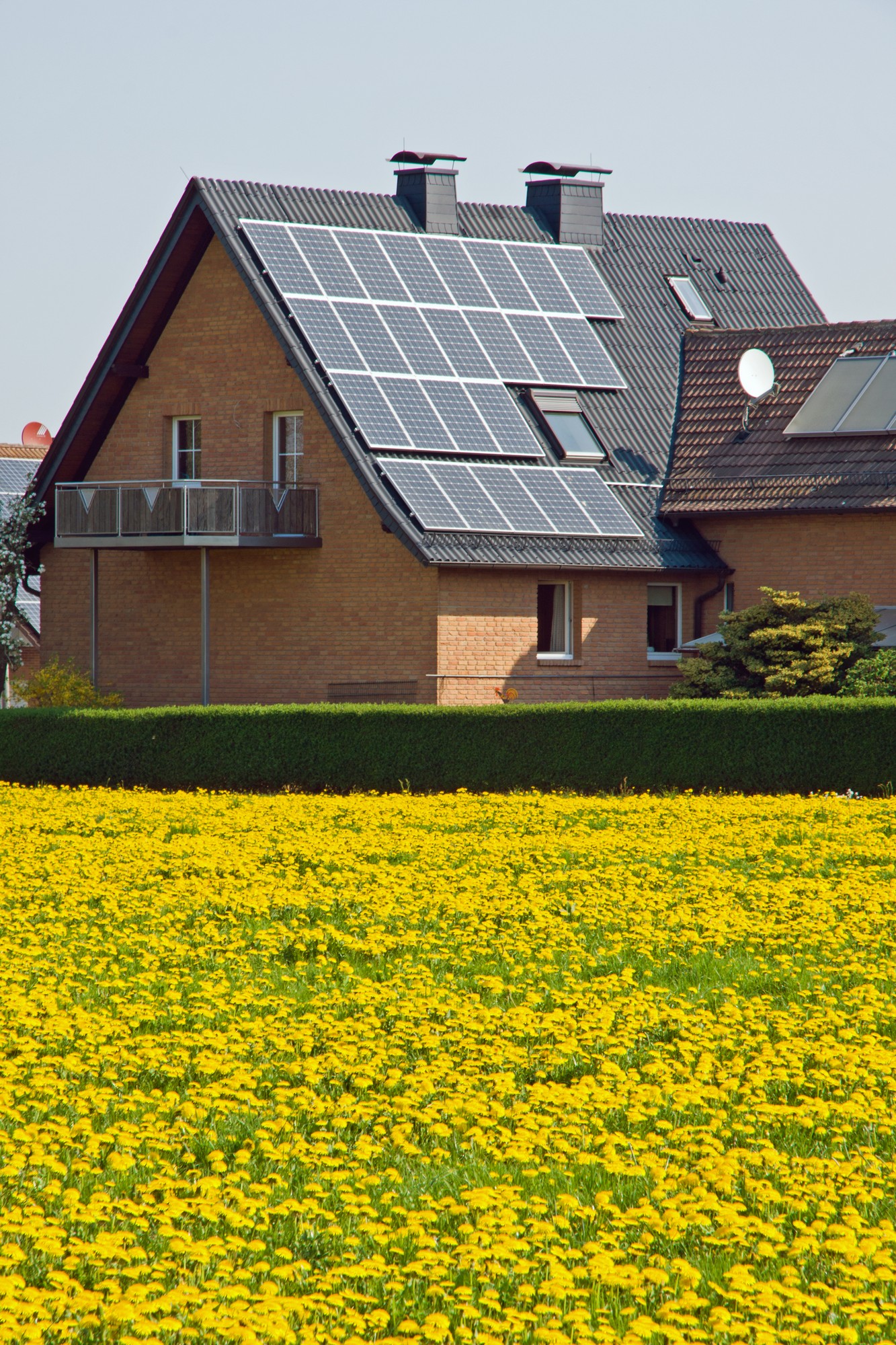 In this image, there is a house with a gabled roof equipped with several solar panels. The house also features a balcony with a railing, three visible chimneys, and a satellite dish. In the foreground, there's a vibrant field of yellow flowers, which appear to be dandelions, bordered by a neatly trimmed hedge. The setting seems to be rural, and possibly in springtime due to the abundance of flowers. The focus on clean energy through solar panels and the presence of a flourishing natural environment suggests a harmonious blend of modern living and nature.