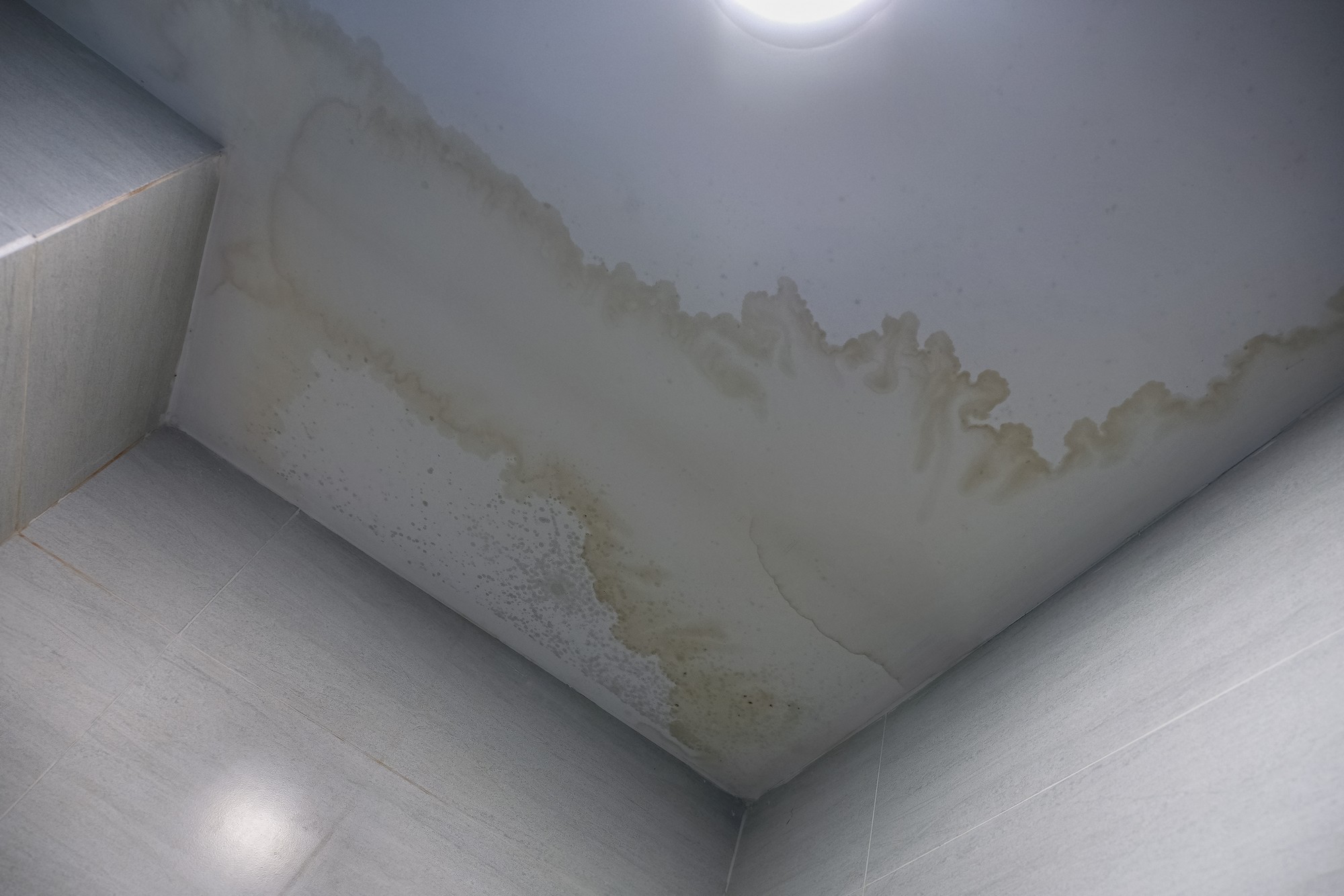 Sure! Here is a detailed alt text description for the image:

"The image depicts a portion of a white ceiling with a notable water stain. The stain is irregularly shaped, predominantly oval, and displays various shades of brown, suggesting it is due to a water leak. The texture within the stain appears slightly different from the surrounding drywall, hinting at water damage. The edges of the stain are blurred, transitioning from darker browns at the centre to lighter browns and yellows as it reaches the perimeter. The ceiling around the stain is otherwise clean and white, indicating that the damage is localized. No visible mould or bubbling is present, but the discoloration is conspicuous against the otherwise pristine ceiling surface."